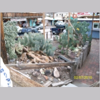 oatman-cactus01.jpg